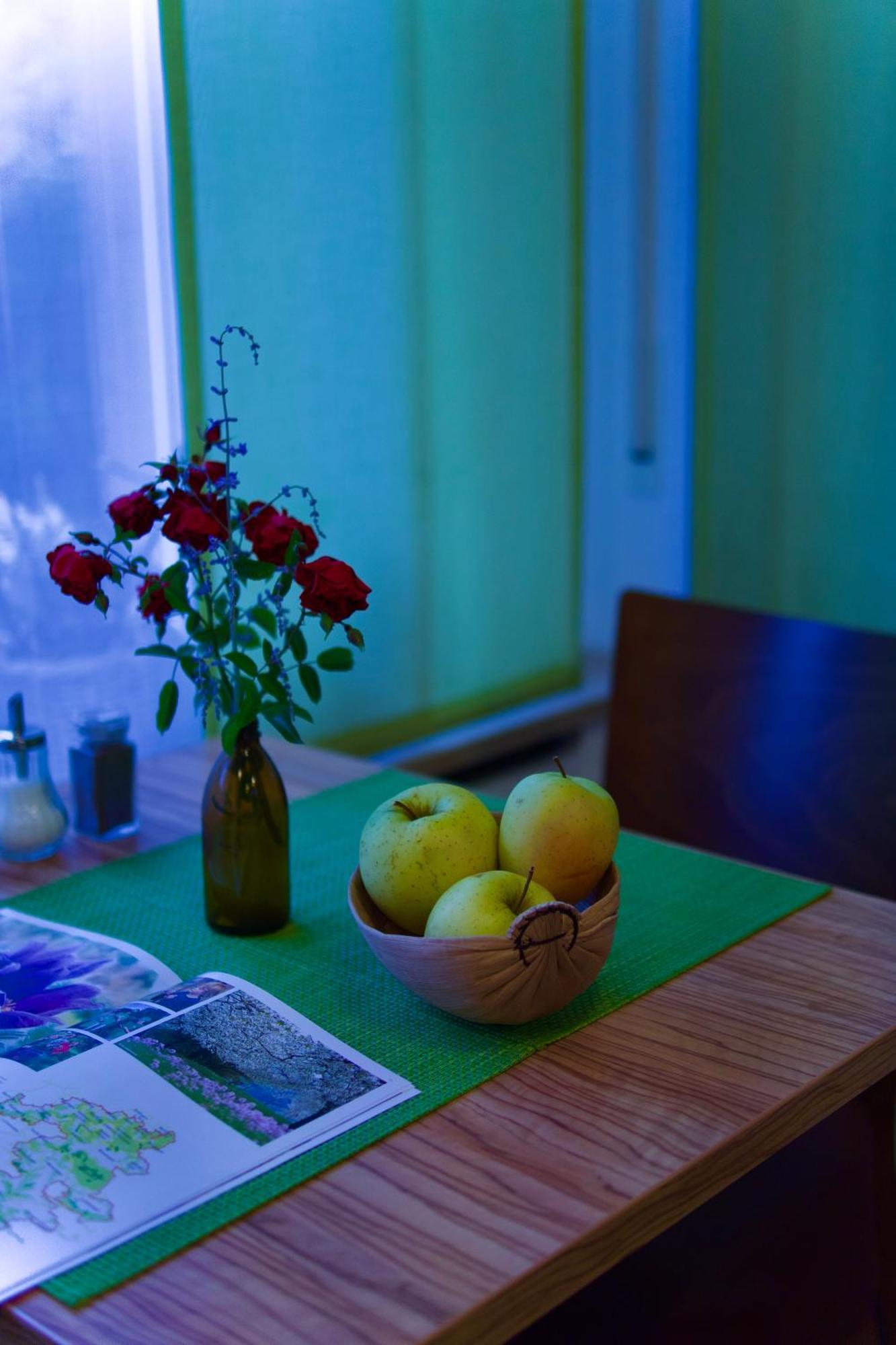 Bed & Breakfast Outlet Hotel Dettingen an der Erms Dış mekan fotoğraf